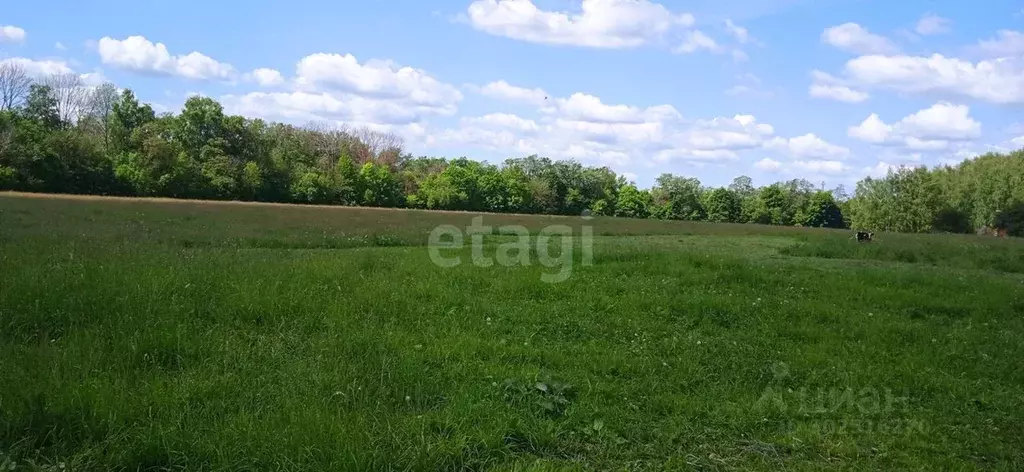 Участок в Тульская область, Киреевский район, Дедиловское ... - Фото 1