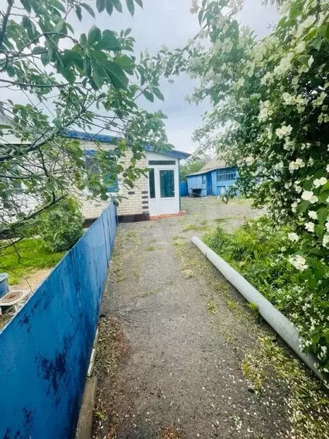 Дом 65,2 м на участке 40 сот. - Фото 1
