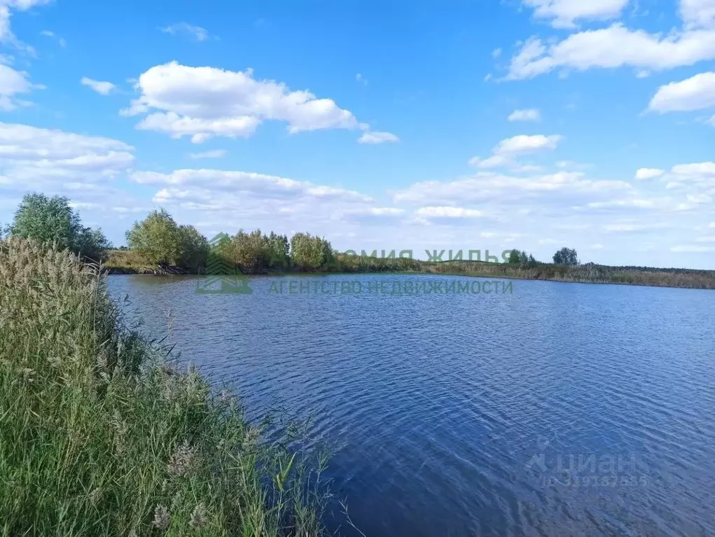 Участок в Саратовская область, Новоузенск  (3000.0 сот.) - Фото 2