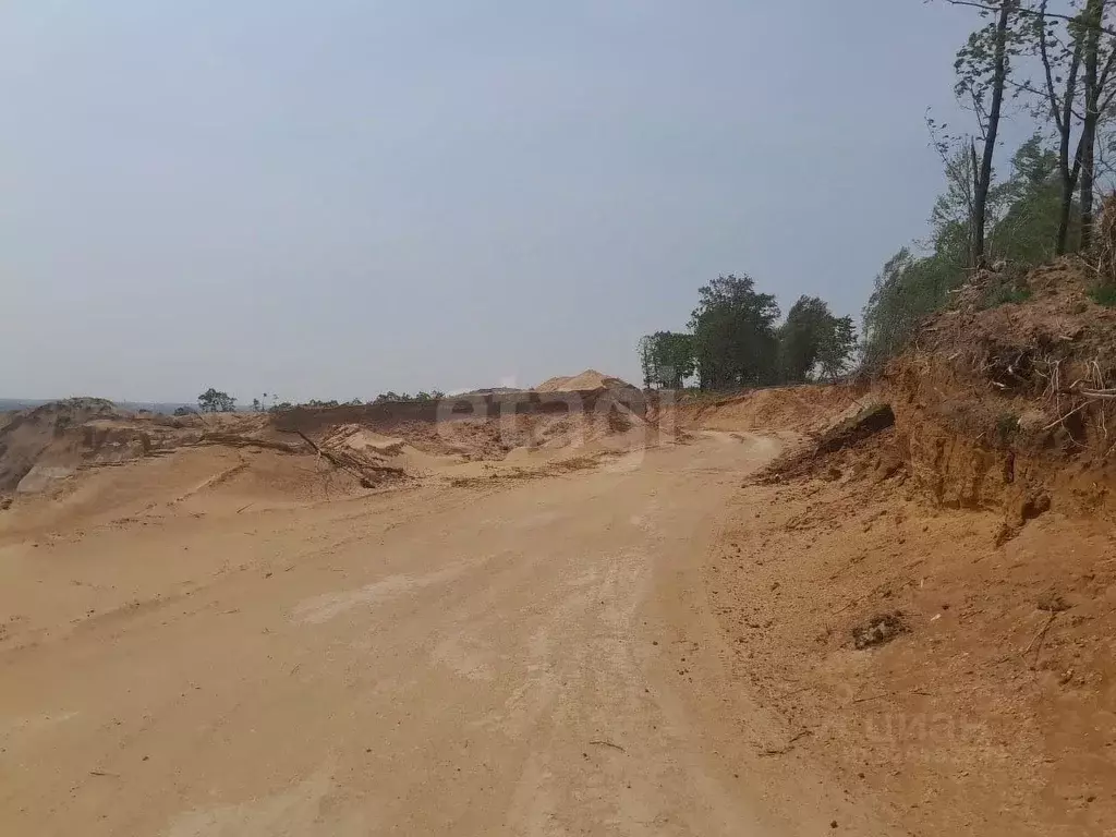 Участок в Амурская область, Серышевский муниципальный округ, с. ... - Фото 1