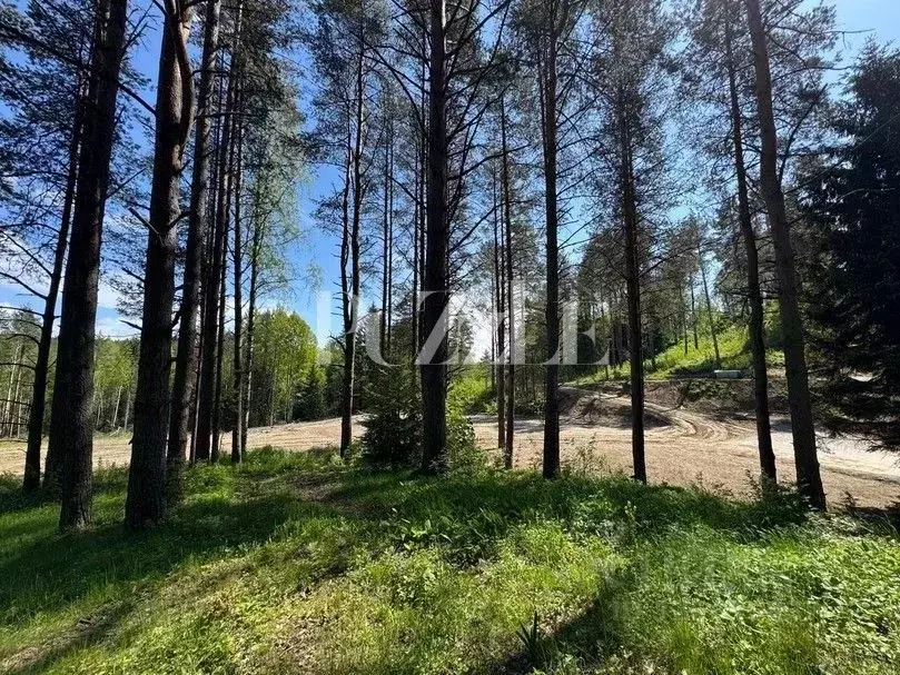 Участок в Ленинградская область, Всеволожский район, Бугровское ... - Фото 1