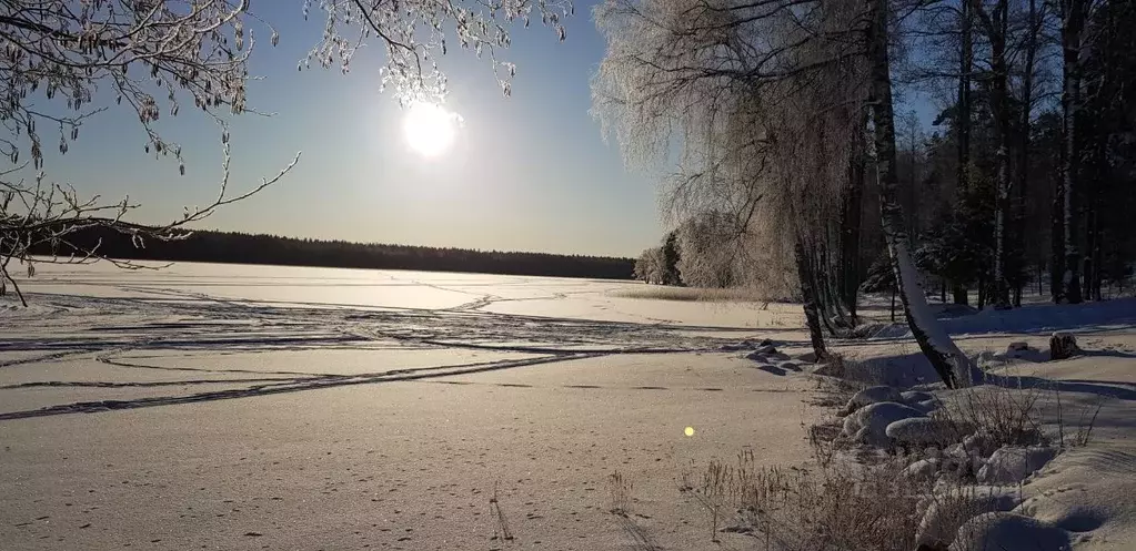 Участок в Ленинградская область, Выборгский район, Приморское ... - Фото 1