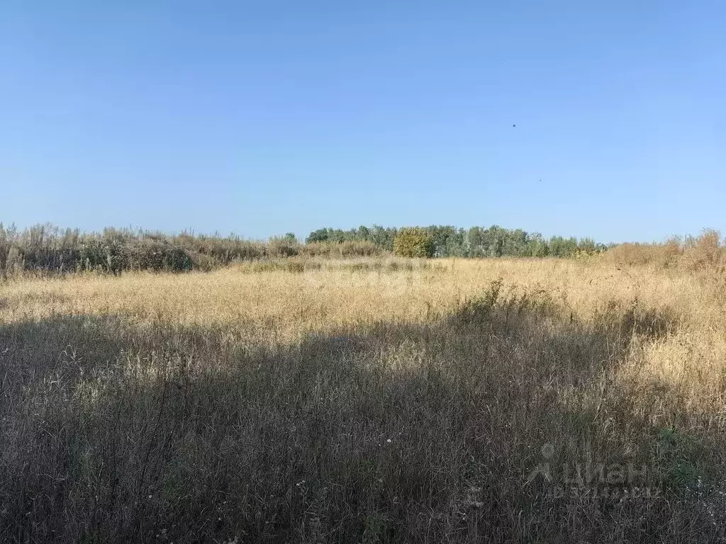 Участок в Брянская область, Дубровский район, Сещинское с/пос, д. ... - Фото 1