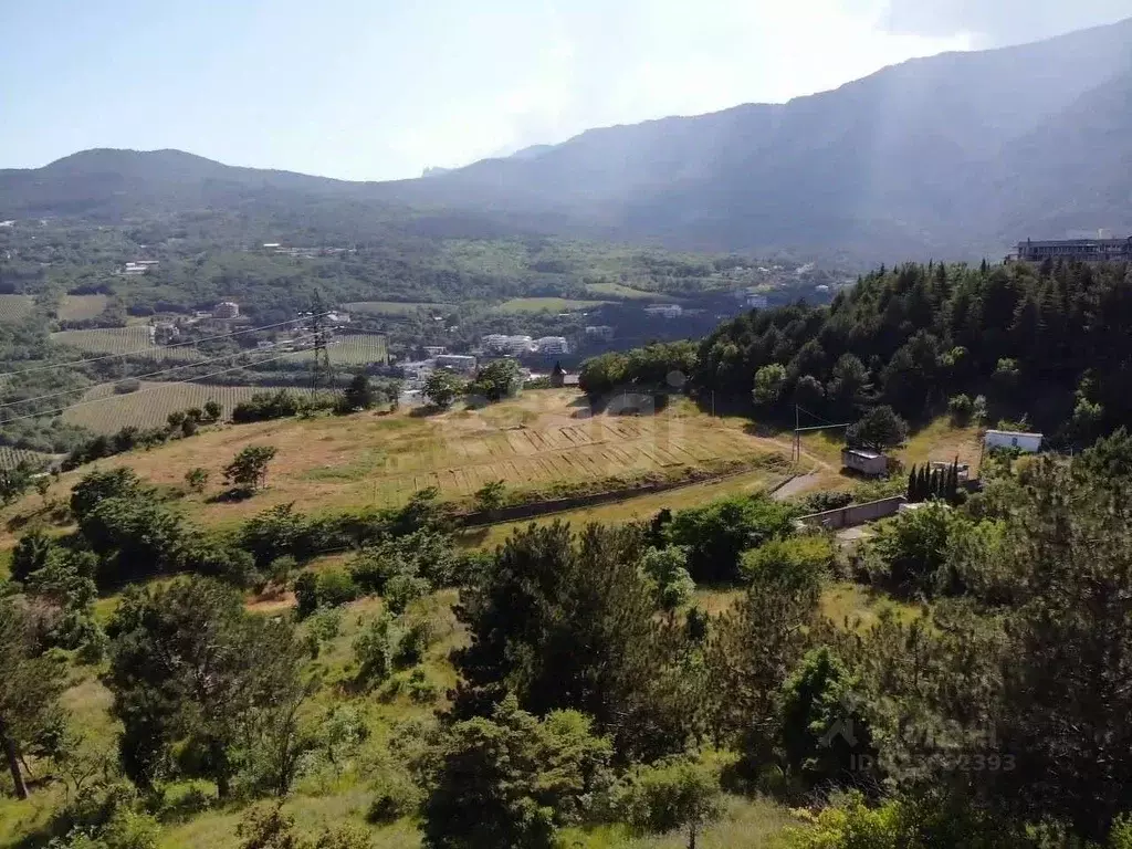 Участок в Крым, Ялта ул. Поселковая (9.0 сот.) - Фото 1