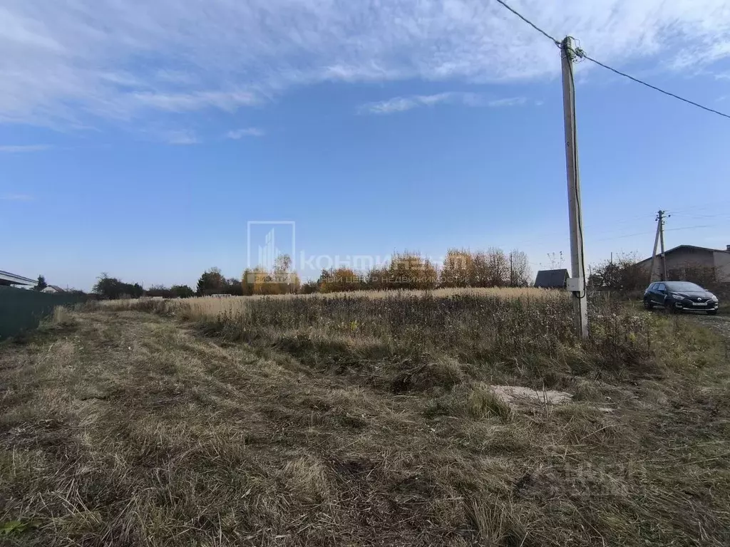 Участок в Владимирская область, Суздальский район, Селецкое ... - Фото 2