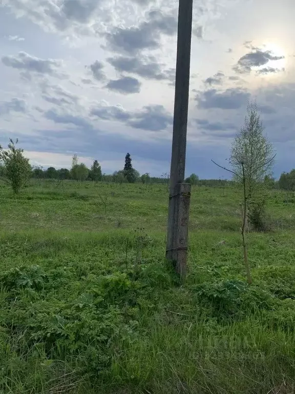 Участок в Тверская область, Осташковский муниципальный округ, д. ... - Фото 2