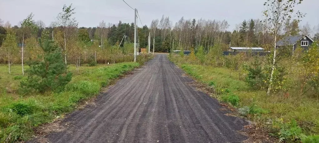 Участок в Московская область, Щелково городской округ, Орлово Вилладж ... - Фото 1