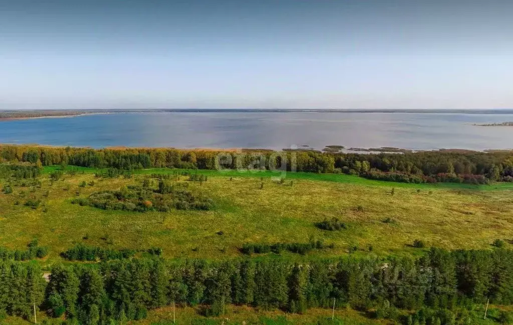 Участок в Челябинская область, Каслинский муниципальный округ, с. ... - Фото 1