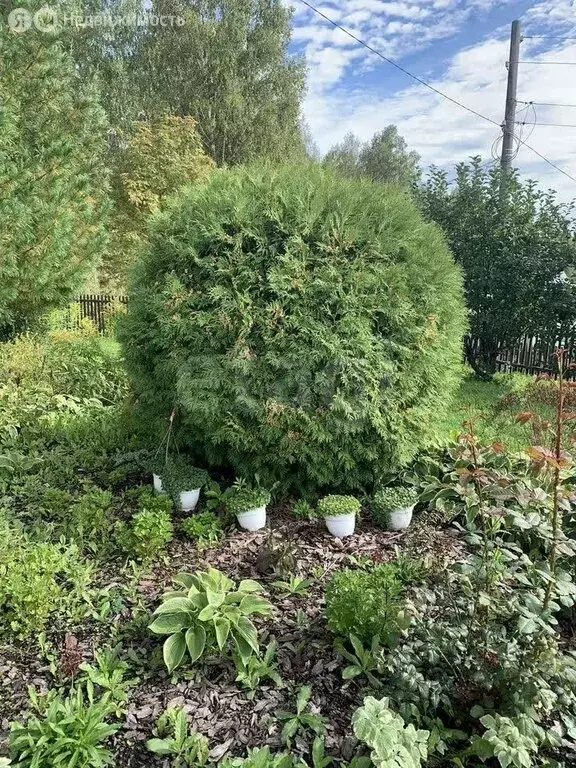 Дом в Томский район, Богашёвское сельское поселение, садовое ... - Фото 2