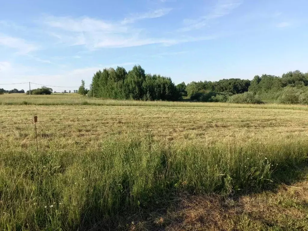 Участок в Новгородская область, Чудовский район, д. Высокое ул. ... - Фото 1