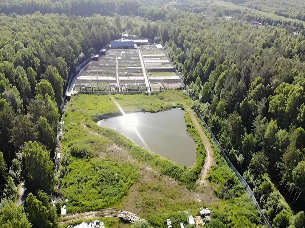 Производственное помещение в Свердловская область, Первоуральск ... - Фото 1