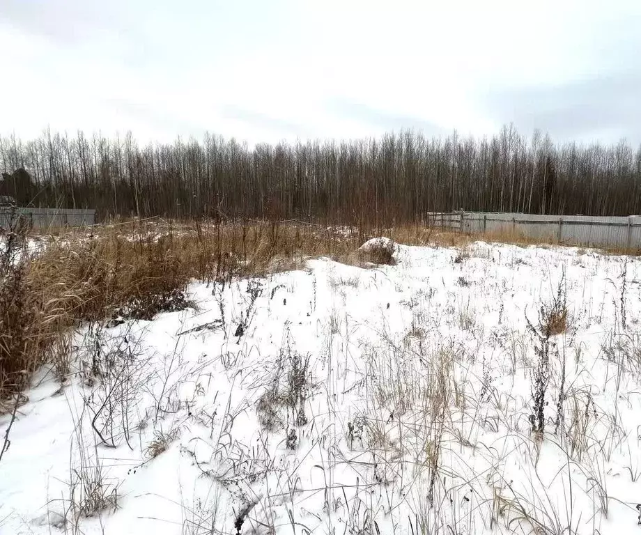 Участок в Ханты-Мансийский АО, Ханты-Мансийск Учитель СОТ, 3 (4.9 ... - Фото 2