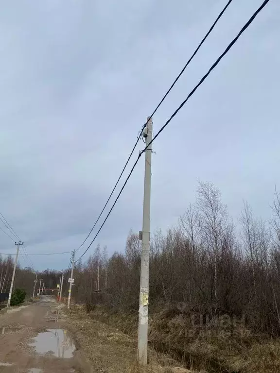 Участок в Ленинградская область, Кировский район, Синявинское ... - Фото 1