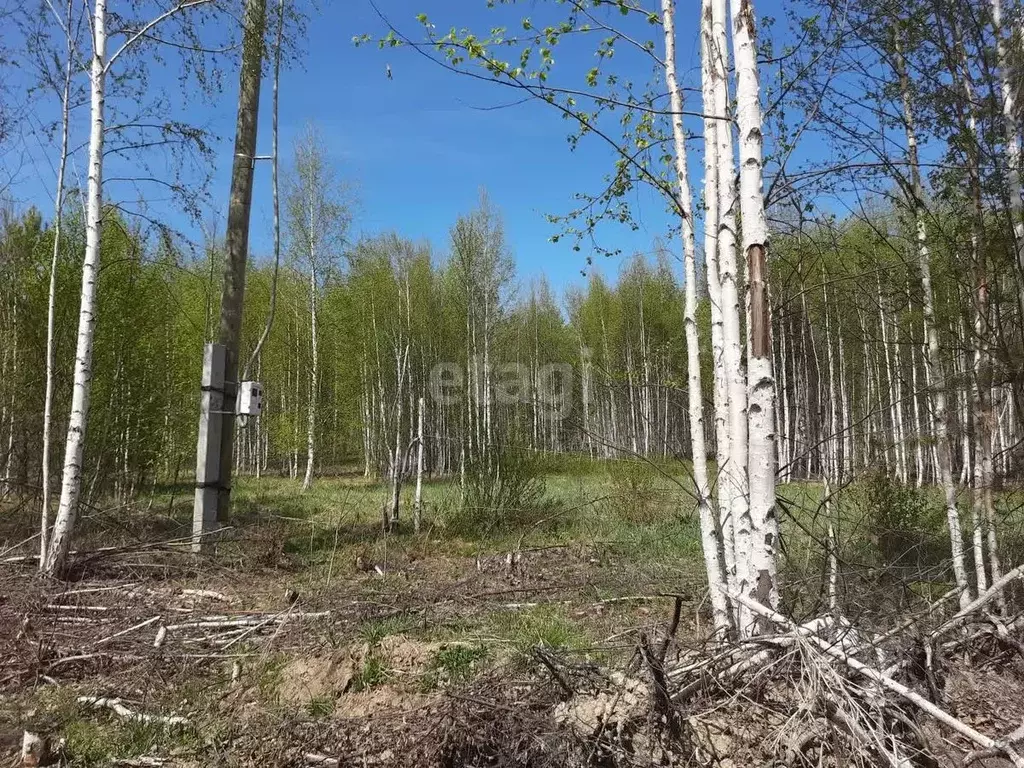 участок в свердловская область, екатеринбург седьмая дача кп, (10.0 . - Фото 0