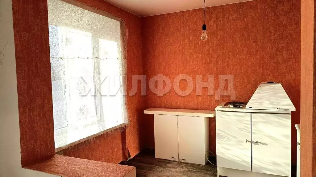 1-к кв. Новосибирская область, Колыванский район, с. Скала Молодежная ... - Фото 0