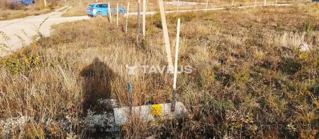 Участок в Крым, Симферопольский район, Урожайновское с/пос, Вита СПК ... - Фото 2