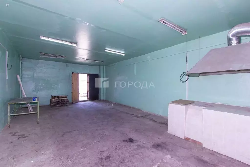 Производственное помещение в Новосибирская область, Новосибирск ул. ... - Фото 1