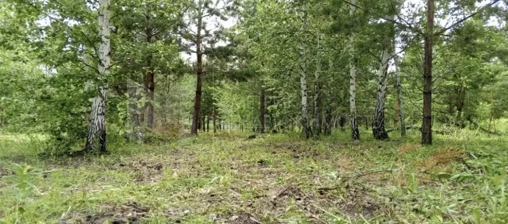 Участок в Тюменская область, Ялуторовский район, с. Сингуль Татарский  ... - Фото 0