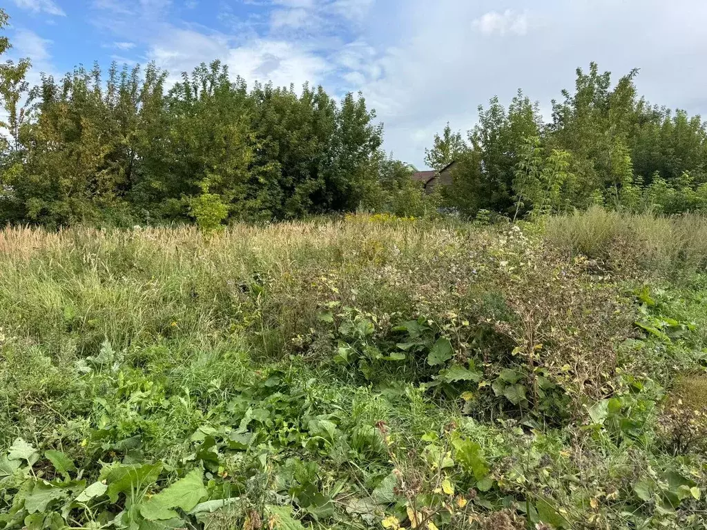 Участок в Московская область, Ногинск Богородский городской округ, ул. ... - Фото 2