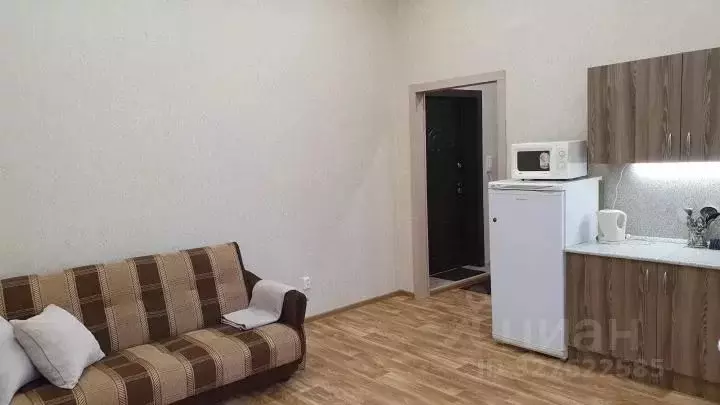 Студия Татарстан, Казань Роторная ул., 27В (30.0 м) - Фото 2