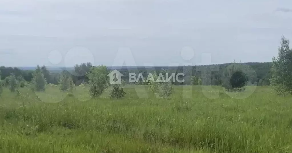 Участок 230 га (ИЖС) - Фото 1