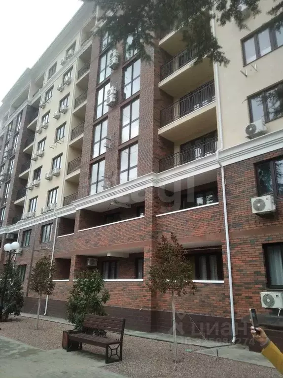 1-к кв. Крым, Ялта муниципальный округ, Восход пгт ул. Авроры, 77к2 ... - Фото 2