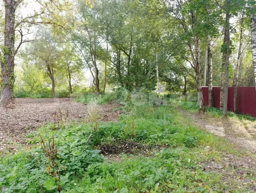 Дом в Московская область, Солнечногорск городской округ, с. Алабушево ... - Фото 1