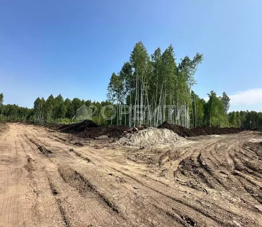 Участок в Тюменская область, Тюмень Березняки СНТ,  (6.0 сот.) - Фото 1