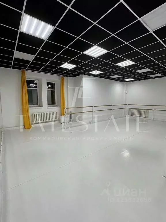 Помещение свободного назначения в Татарстан, Казань ул. Туфана ... - Фото 1