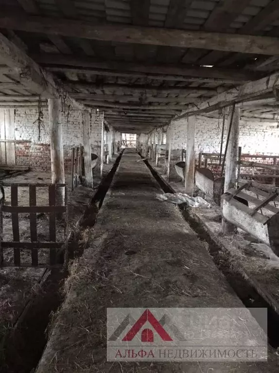 Производственное помещение в Орловская область, Мценский район, д. . - Фото 0