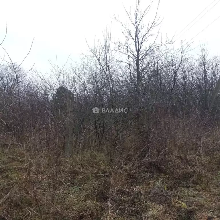 Участок в Владимирская область, Собинский муниципальный округ, д. ... - Фото 2