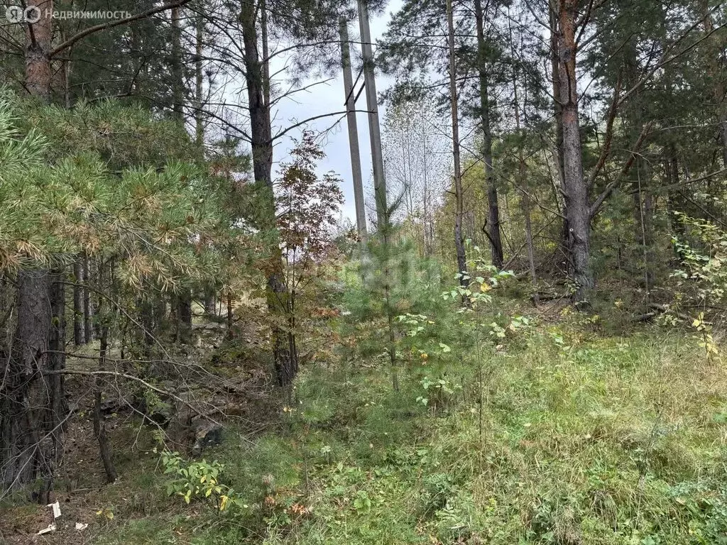 Участок в Челябинская область, Каслинский муниципальный округ, село ... - Фото 2