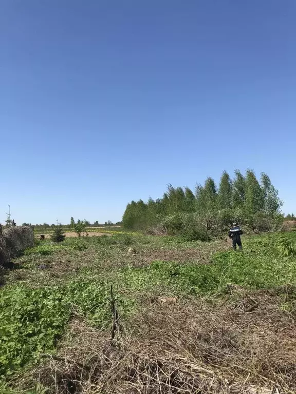 Участок в Новгородская область, Новгородский район, Ракомское с/пос, ... - Фото 0