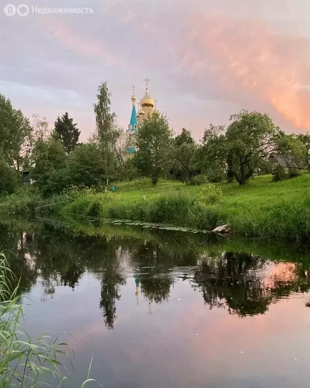 Участок в Ломоносовский район, Лебяженское городское поселение, ... - Фото 1