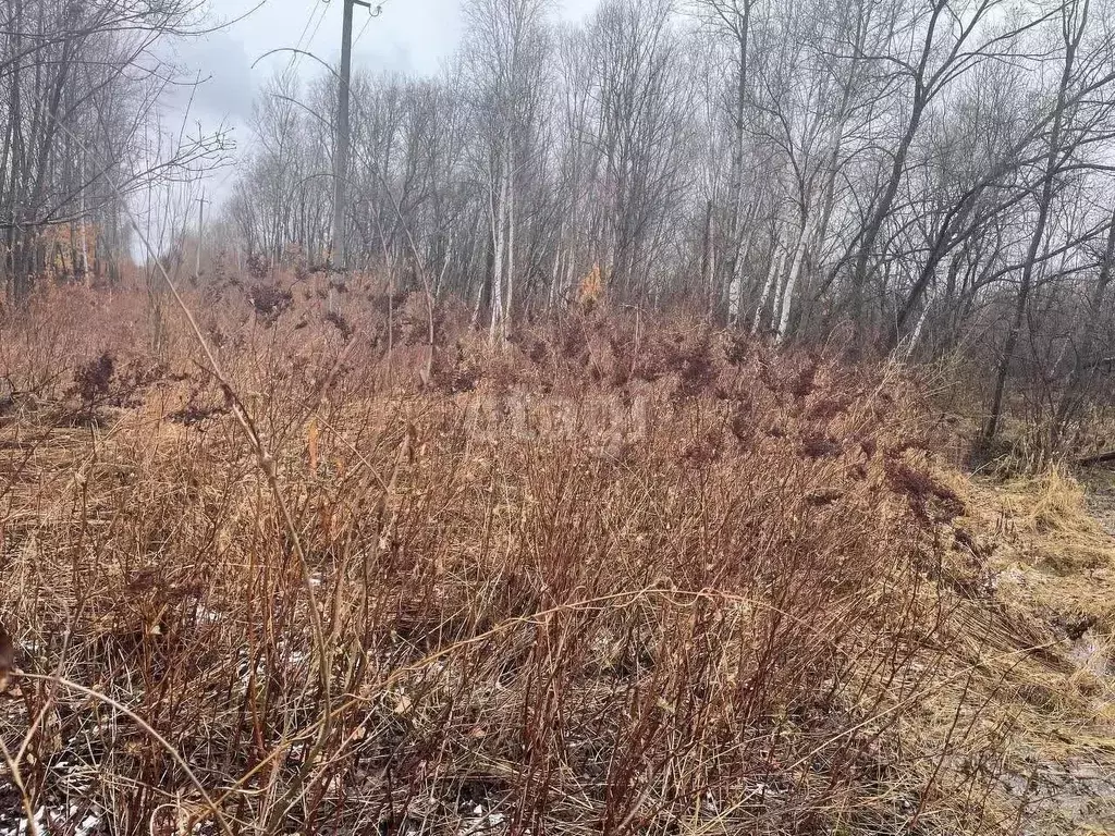Участок в Хабаровский край, Хабаровский район, с. Восточное  (10.0 ... - Фото 1