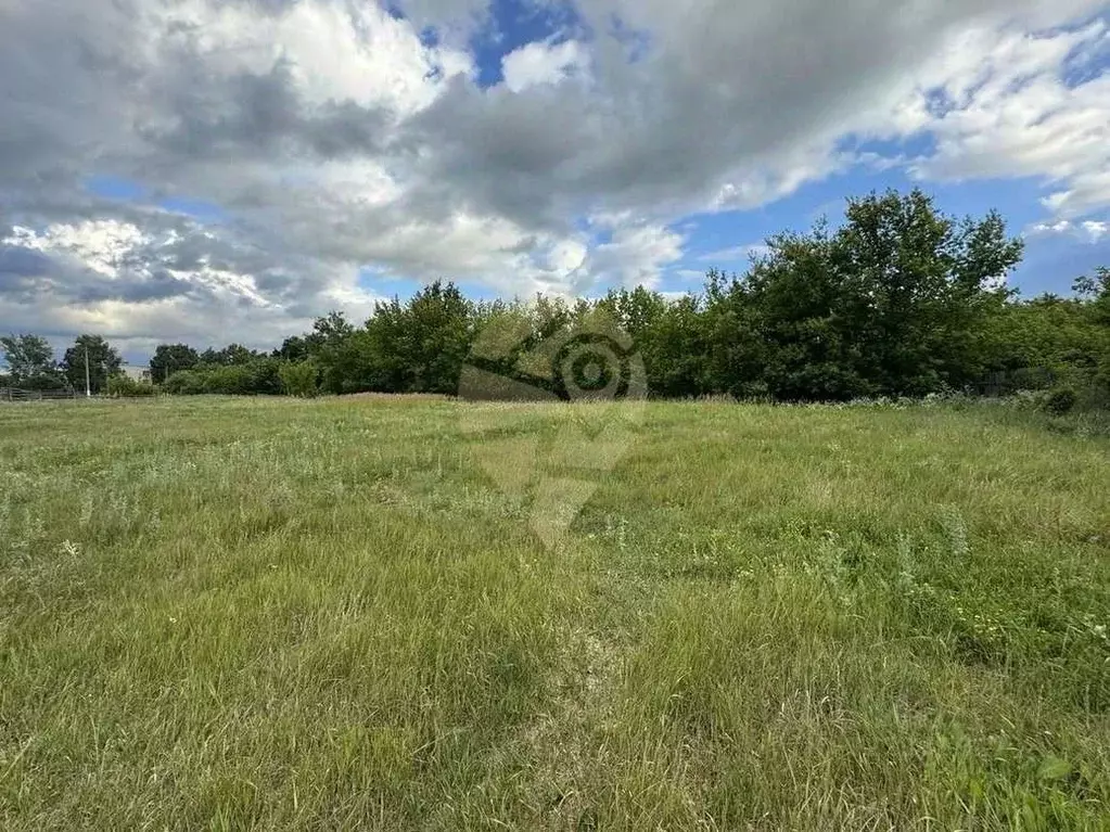 Участок в Белгородская область, Старооскольский городской округ, с. ... - Фото 2