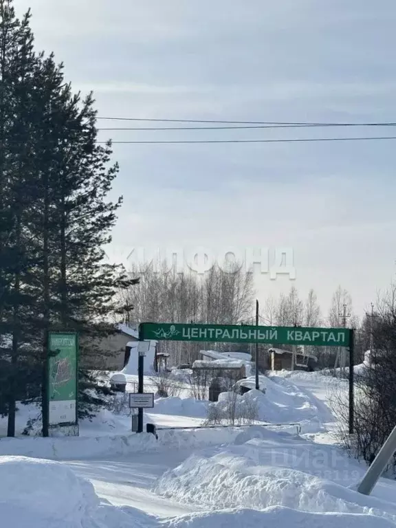 Участок в Новосибирская область, Новосибирский район, Барышевский ... - Фото 1