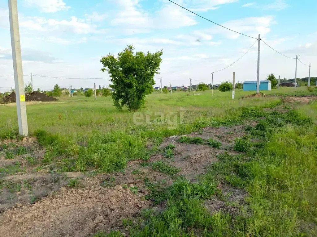 Участок в Воронежская область, Борисоглебск ул. Тихая, 4 (6.5 сот.) - Фото 1