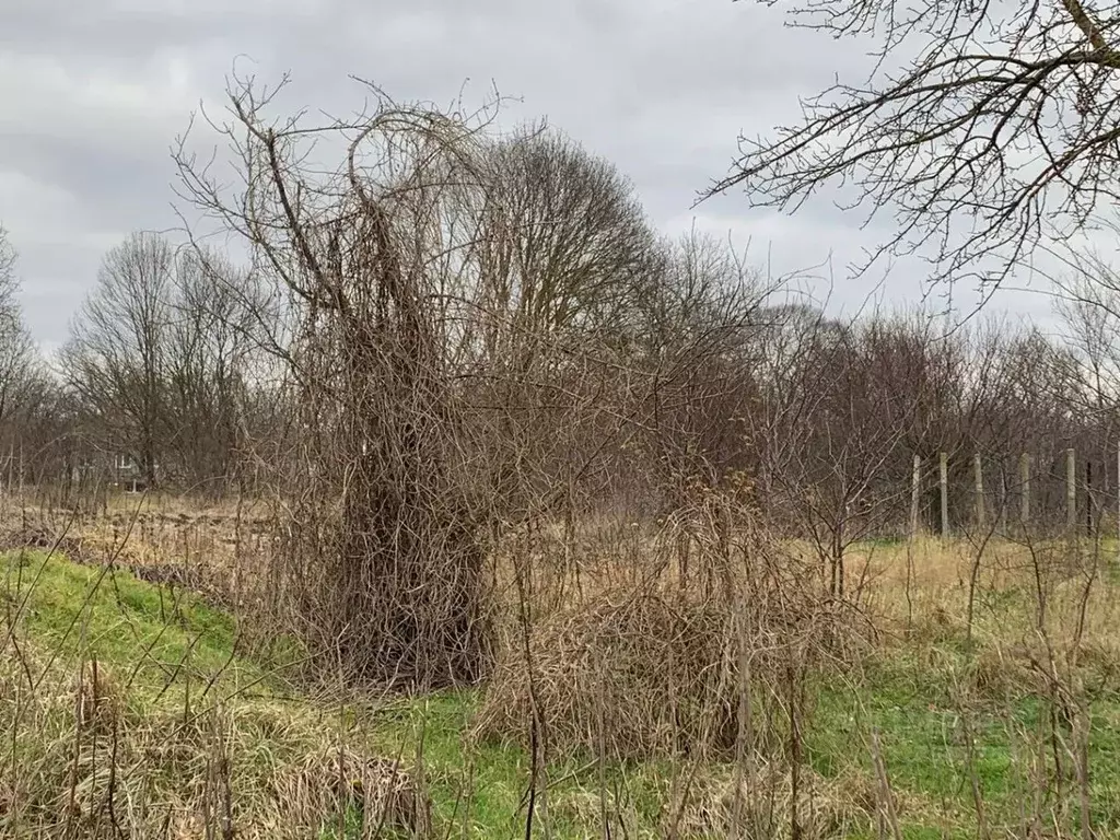 Участок в Краснодарский край, Анапа муниципальный округ, Гостагаевская ... - Фото 1