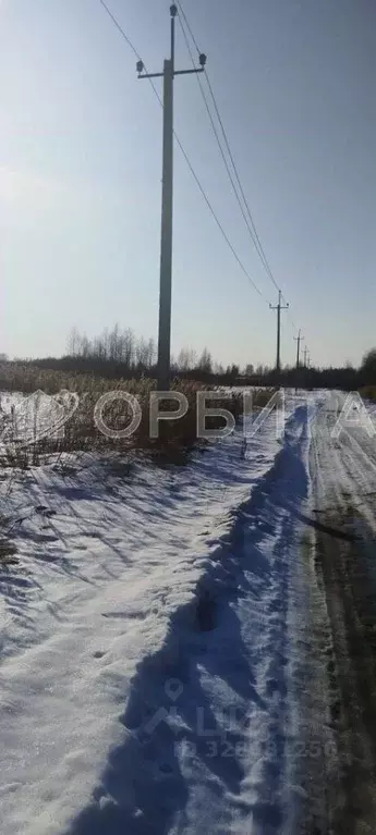 Участок в Тюменская область, Тюмень Ясень садовое товарищество,  (7.5 ... - Фото 2
