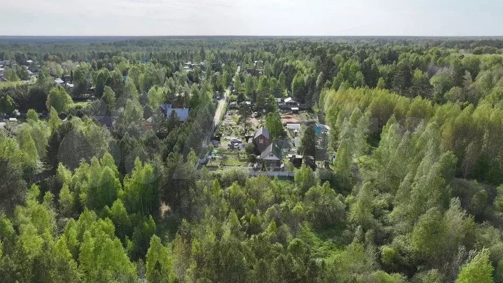 Участок 20 сот. (СНТ, ДНП) - Фото 1