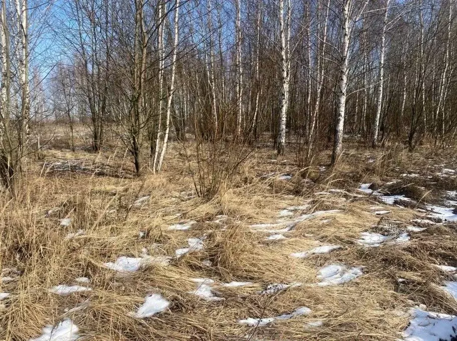Участок в Московская область, Зарайск Зарайск муниципальный округ, ул. ... - Фото 0