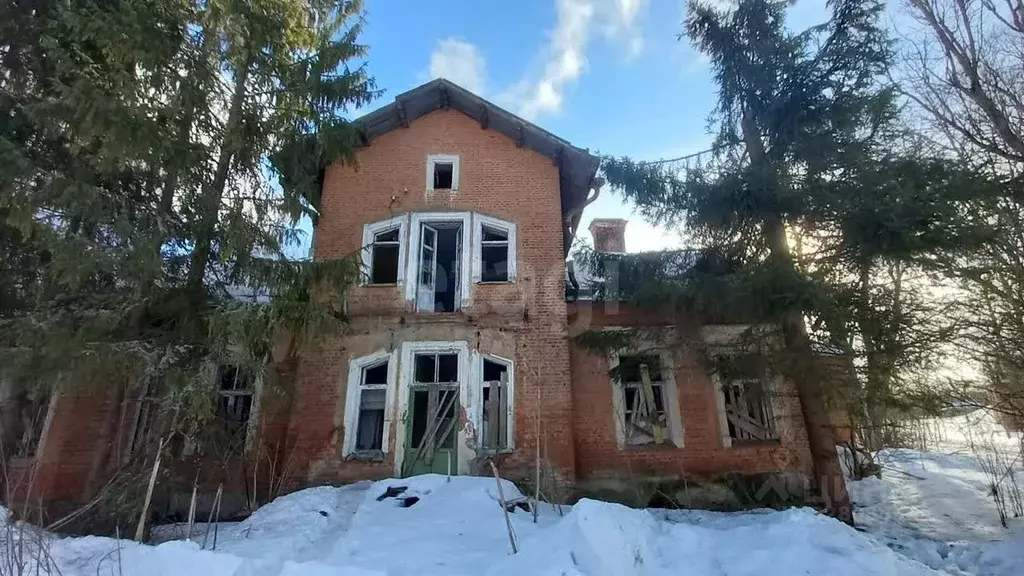 Участок в Ленинградская область, Лужский район, Ям-Тесовское с/пос, д. ... - Фото 2