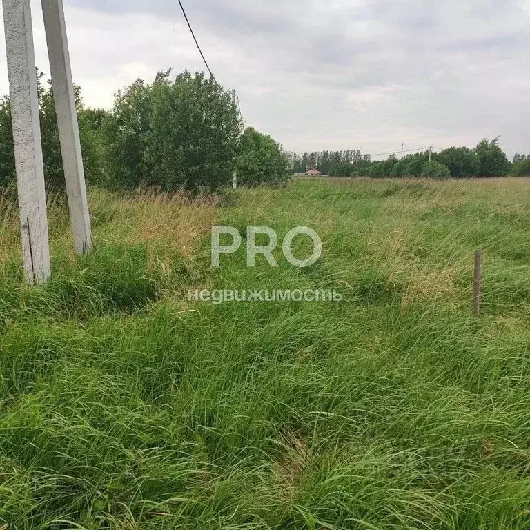 Участок в Ярославская область, Ярославский муниципальный округ, д. ... - Фото 1