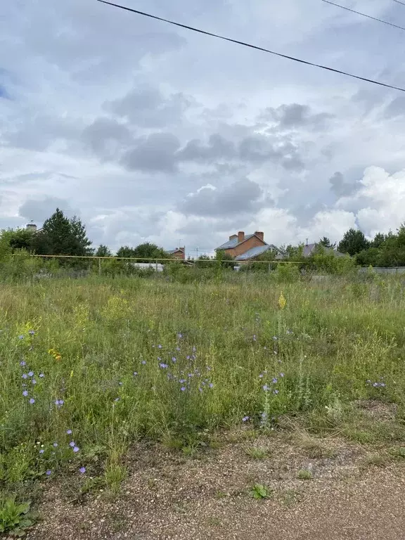 Участок в Московская область, Домодедово городской округ, с. Успенское ... - Фото 1