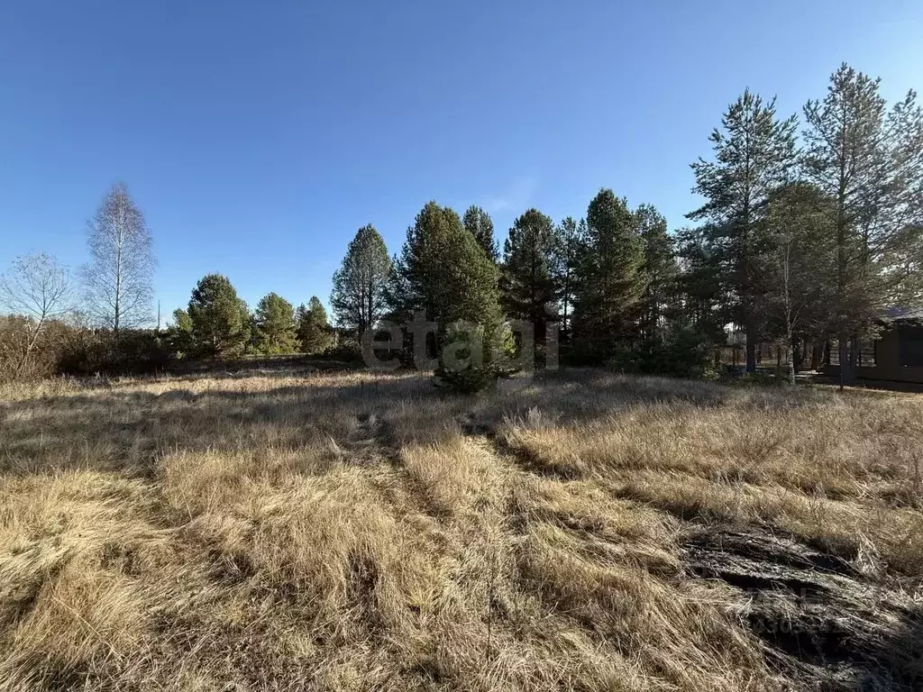 Участок в Пензенская область, Бессоновский район, пос. Подлесный, ... - Фото 1