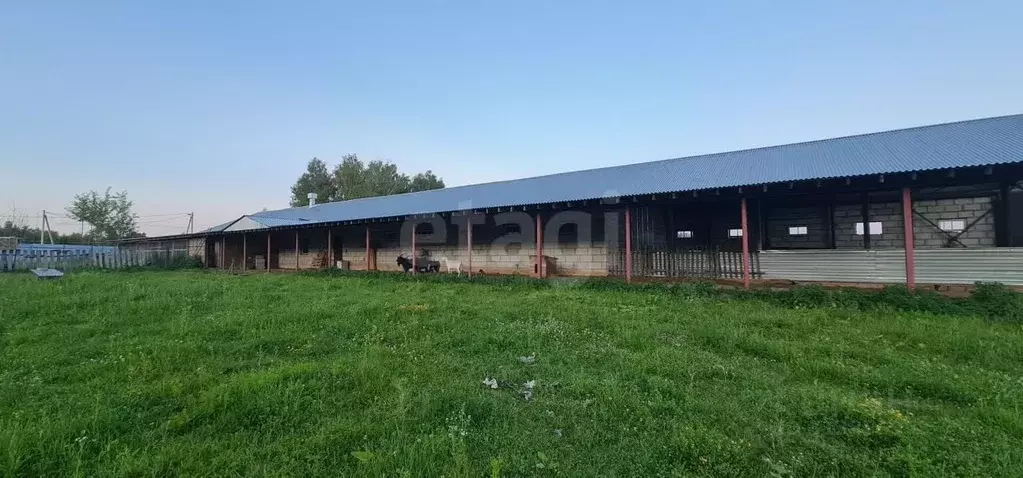 Помещение свободного назначения в Калужская область, пос. Бабынино ул. ... - Фото 1