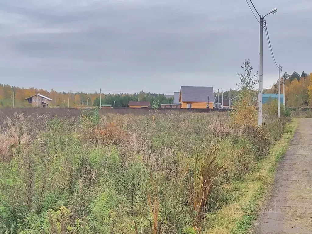 Участок в Московская область, Богородский городской округ, с. Стромынь ... - Фото 1