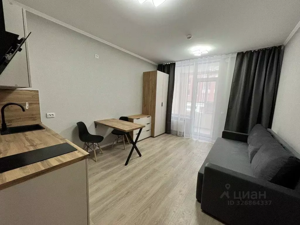 Студия Санкт-Петербург пос. Шушары, ул. Нины Петровой, 10к1 (24.0 м) - Фото 2