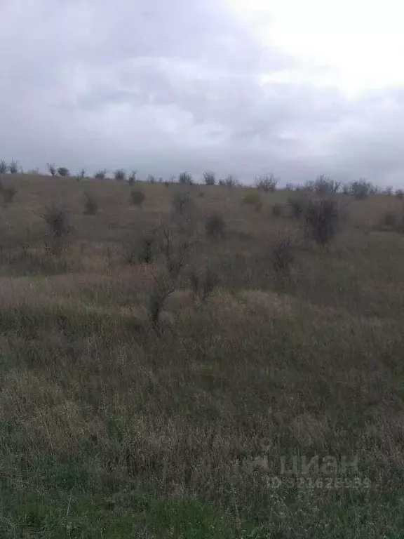 Участок в Крым, Бахчисарайский район, Песчановское с/пос, с. Береговое ... - Фото 0